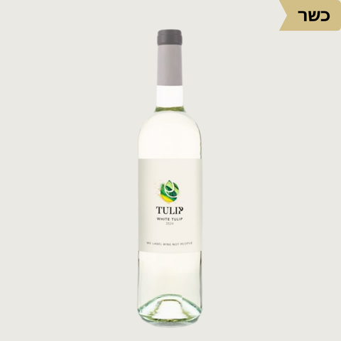 White Tulip טוליפ לבן